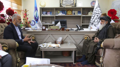 Iran Allocates 10 Million Euros for Abu Nasr Farahi Road Construction