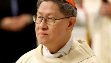 Possible Successor of Pope? Meet the "Asian Francis"