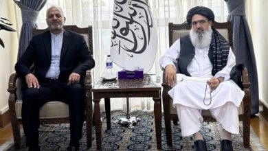 Iran, Afghanistan Discuss Expanding Health Cooperation